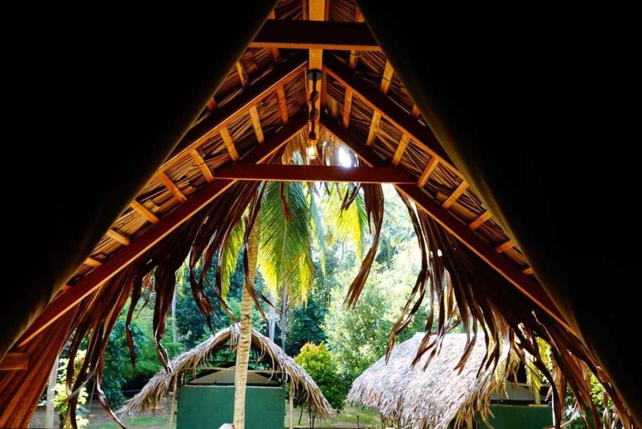 Jungle View River Camping Udawalawe Exterior foto