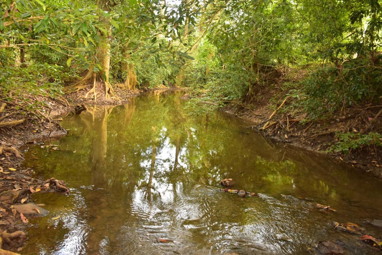 Jungle View River Camping Udawalawe Exterior foto